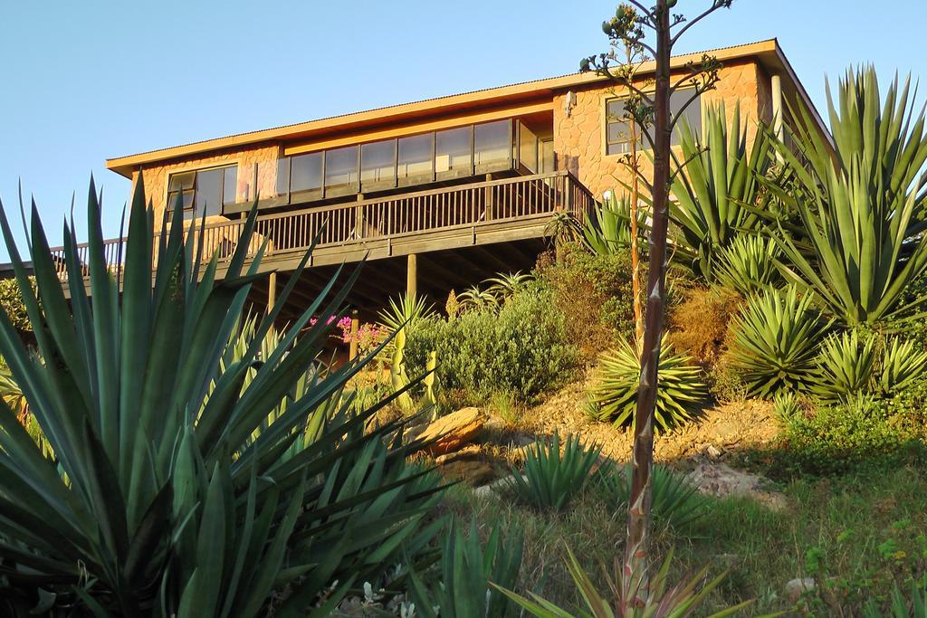 Starfish Surf House Villa Jeffreys Bay Cameră foto
